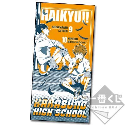 「一番賞」排球少年!!-～英雄豪結!!～-B賞-日向&影山浴巾