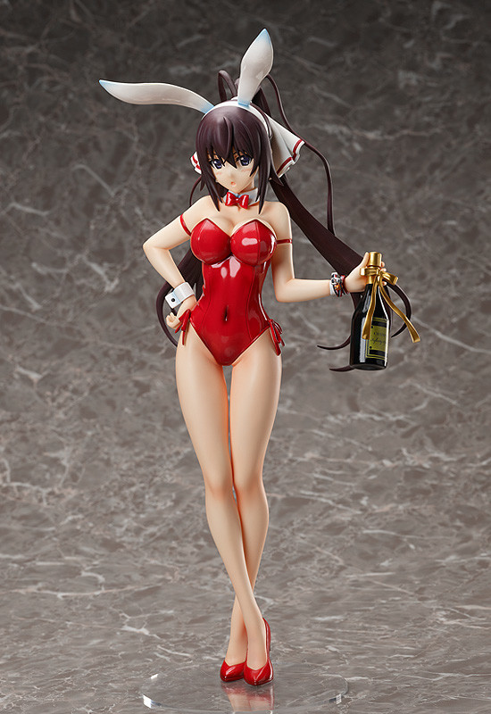 IS: Infinite Stratos - Shinonono Houki - B-style - 1/4 - Bare Leg Bunny Ver. (FREEing)