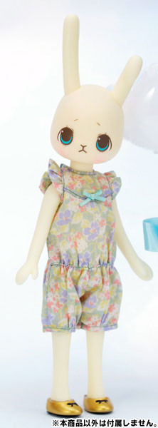 Usaggie (n03) (Petworks)