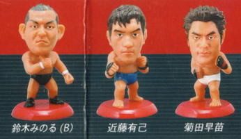 Pro Kaku Heroes Vol.6 (Tokimeki.com)
